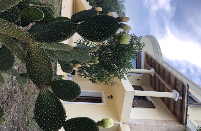 AROMIA CORFU IN CORFU The apartment is located in a villa in the area of Paliο
