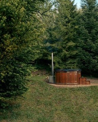 Artist's House