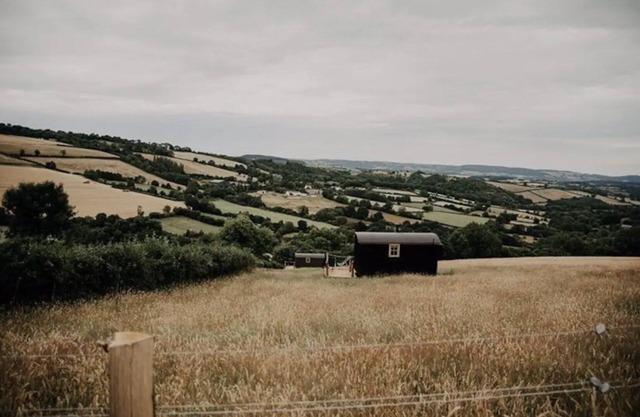 Ash Shepherd's Hut, Wiveliscombe