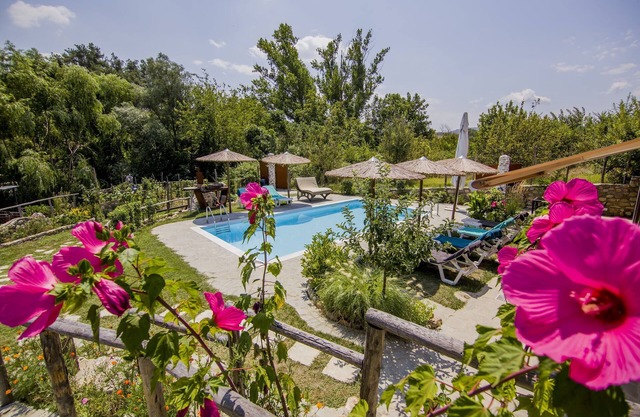 Attalos Mythical Nest - Private Pool Escapade