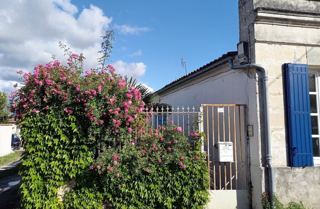 Attractive new 30m2 T2 apartment, close to amenities, town center and spa.