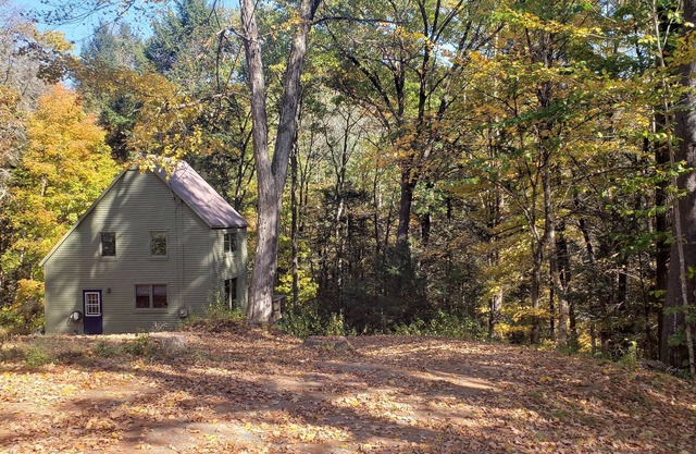 Attractive Saltbox in the Woods