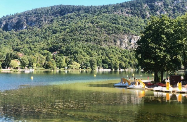 Atypical chalet, calm nature and river