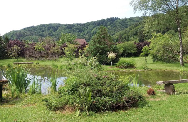 Au Pied des milles Étangs- LES CAPUCINS