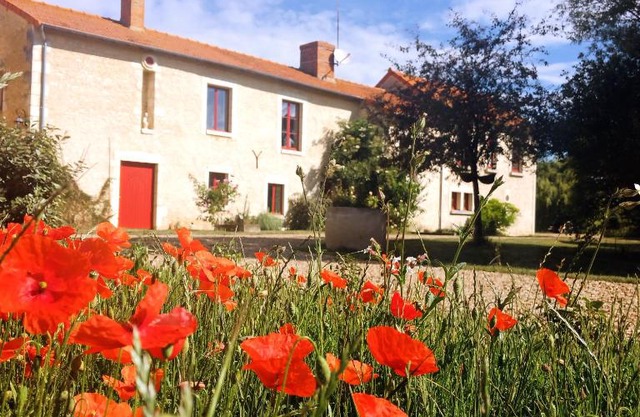 Au repos des elfes