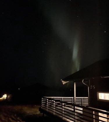 Aurora woods