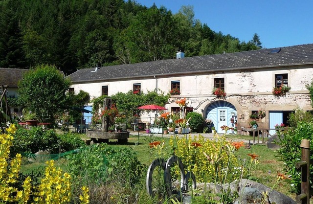 Authentic Charm at Saphoz Mill with Large Garden