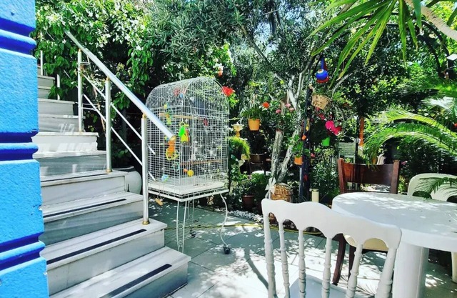 Avşa butik apart