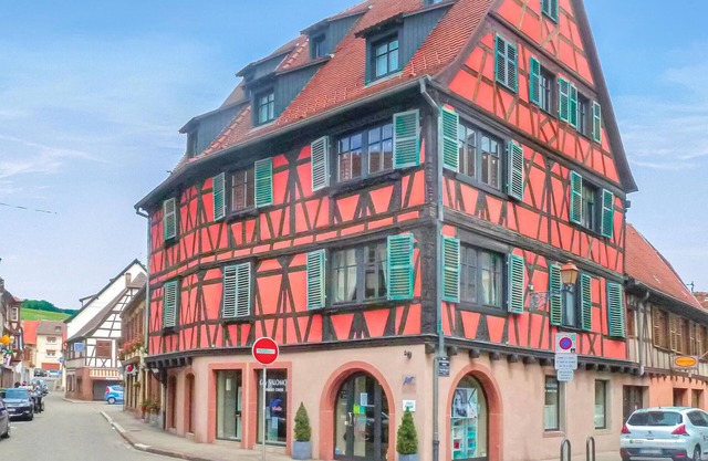 Awesome apartment in Molsheim with WiFi