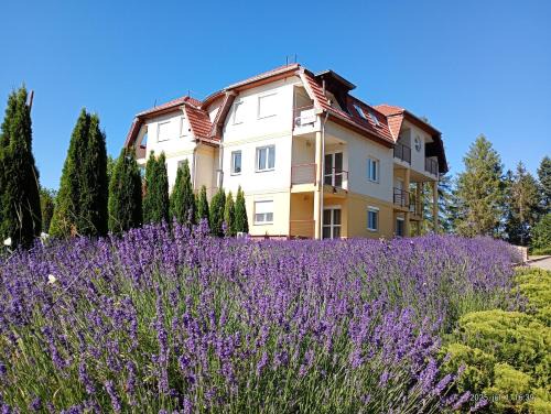Bükkszentkereszt Oxigén Apartman2