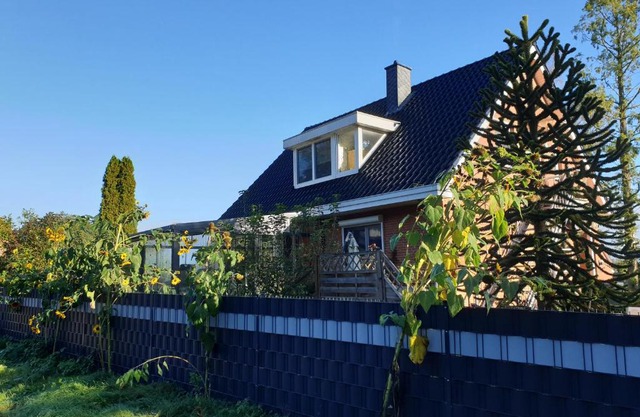 B & B Buchhorst 21481