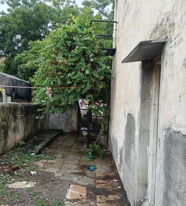 Bachelor's Homestay