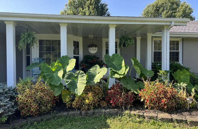 BACKYARD OASIS! Cozy and charming 60s Brick ranch with relaxing gazebo over pond