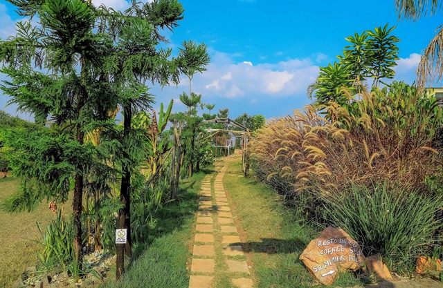 Banana Eco Resort