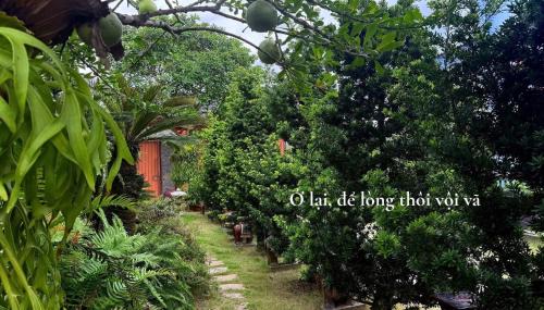 Bao Ong Thien Retreat - Khu Nghỉ Dưỡng Bào Ông Thiền