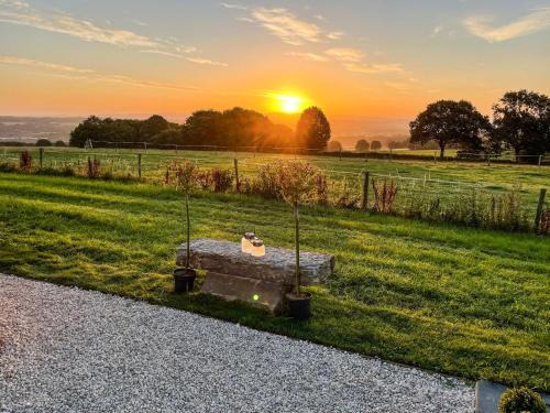 Barn Owl Lodge - Uk49903