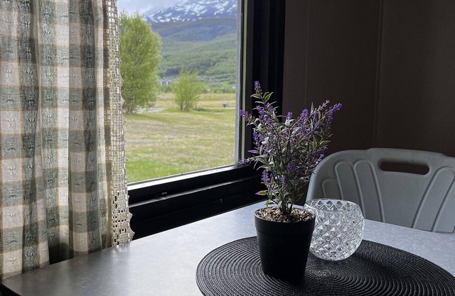 Basecamp Birtavarre
