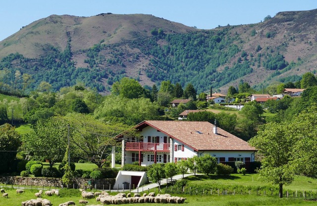 BaskoParadis I Eco-Gite I Bright I Bed 160 I Terrace I Panoramic view I Donkeys