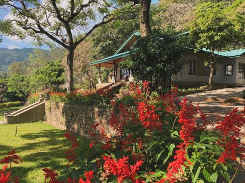 Bawlana Estate - Kandy