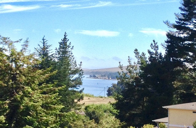 BAY CANYON VIEW-CHARMING SINGLE LEVEL HOME- FENCED YARD + SPA-NEAR EVERYTHING!