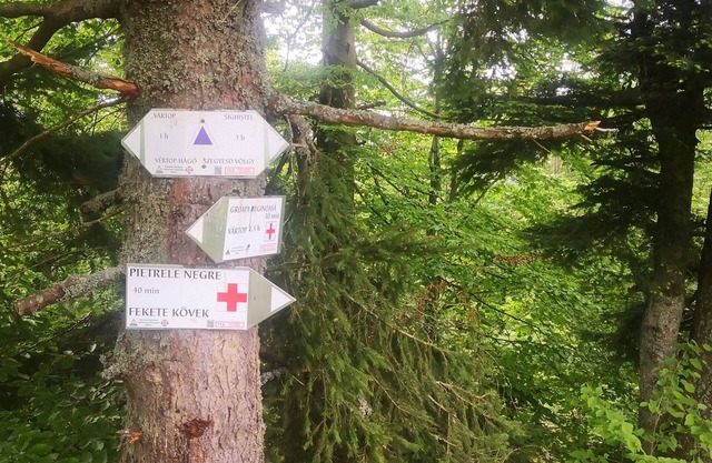 Be active in the Natural Park of Apuseni