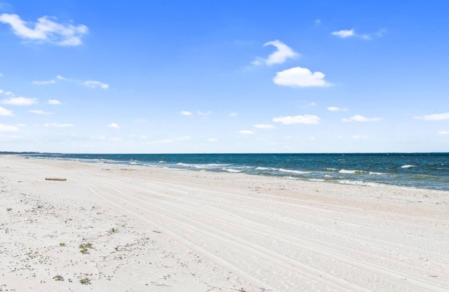 Beach House - Turtle Tracks by PHG