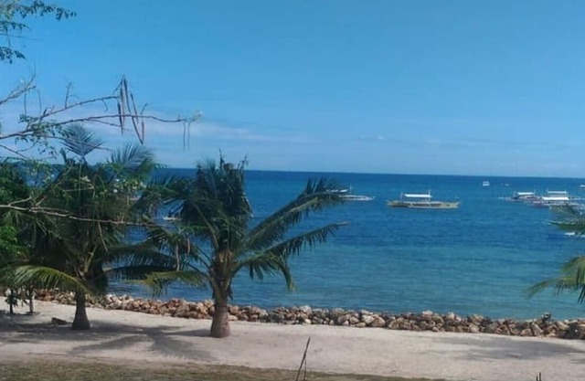 Beachfront Condo Next to Alona