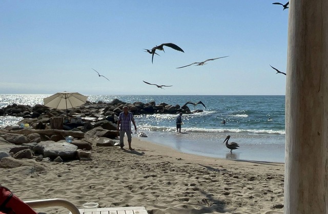 Beachfront resort in Marina Vallarta, studio suite with kitchen & 2 double beds