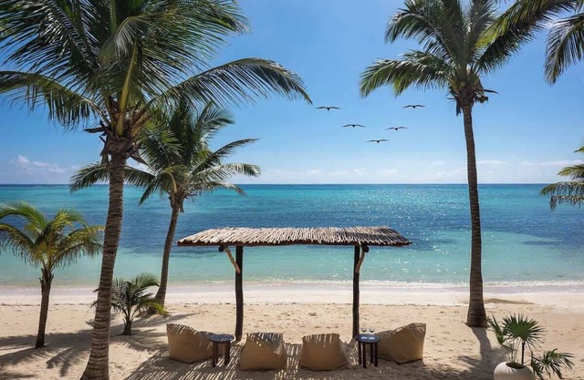 Beachfront Room with Private Plunge Pool