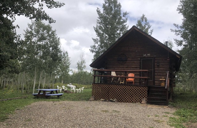 Bear Bait Cabin is cozy and rustic overlooking beautiful aspen trees