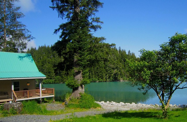 Bear Country Lodge #1
