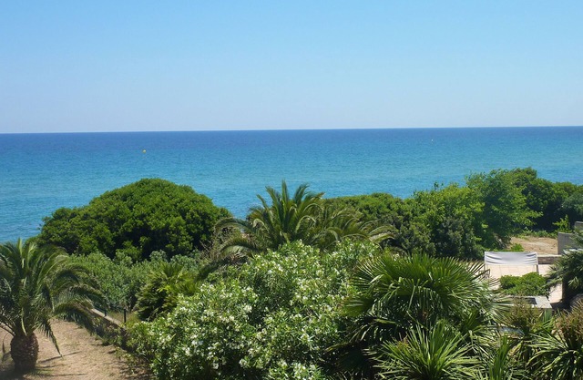 Beautiful flat , rated 2 stars on the beach
