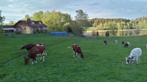 Beautiful and peaceful in earth house, 90 m2