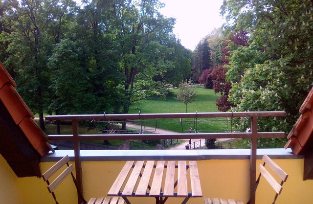 Beautiful * apartment between vineyards and Obernai ramparts