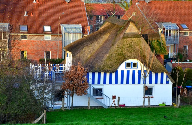 Beautiful apartment directly on the dyke
