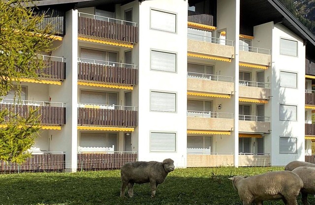 Beautiful apartment for 6 guests with WIFI, TV and balcony