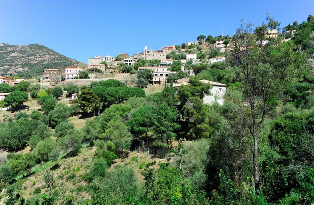 Beautiful apartment for 4 people with WIFI, A/C, TV, patio, pets allowed, panoramic view and par.