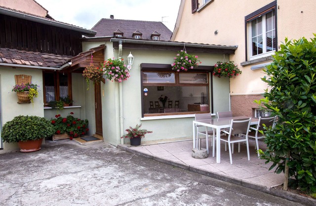 Beautiful apartment in the heart of the Alsace wine route