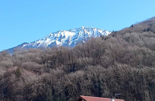 Beautiful apartment with garden between lake and mountain