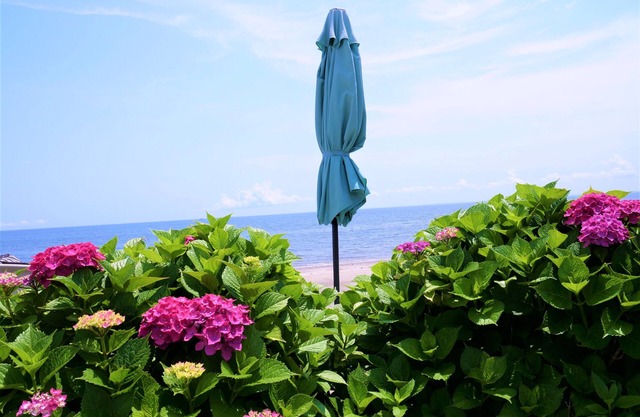 Beautiful Beachfront Cottage Leading Directly To Your Own Sandy Beach