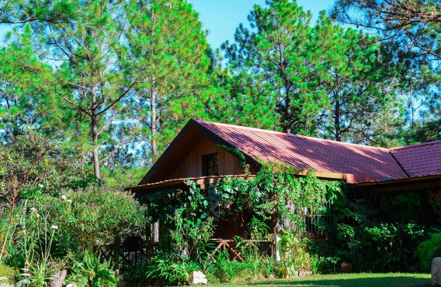 Beautiful cabin on amazing forest in Perquin