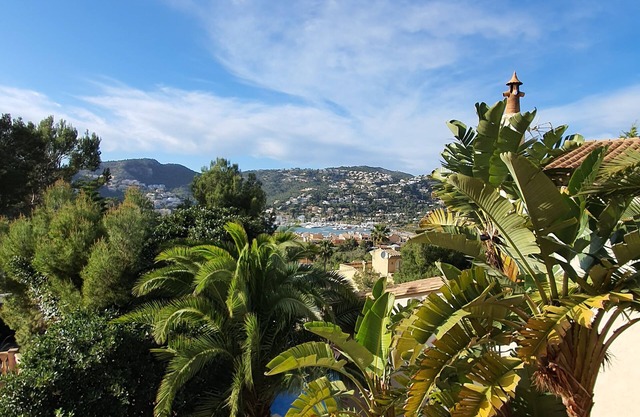 Beautiful, charming luxury villa with palm garden in Puerto d 'Andratx