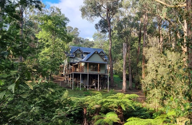 Beautiful country property in native bush less than an hour from Melbourne.