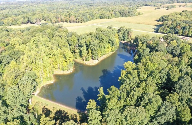 Beautiful, cozy, lakeside wooded getaway in serene surroundings.