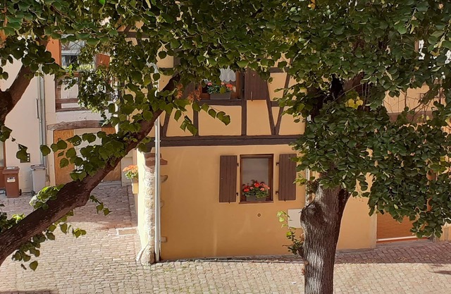 Beautiful holidays in Alsace, near Colmar - gîte de la Muse