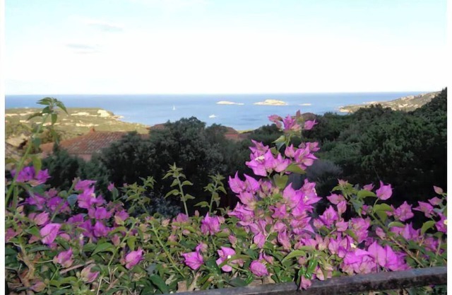 Beautiful House With Spectacular Views of the Gulf of Pevero