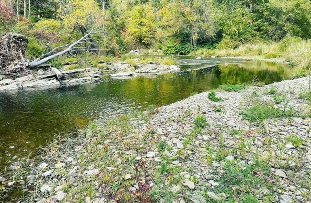 Beautiful Hunter Log Cabin on 5 Acre Lot