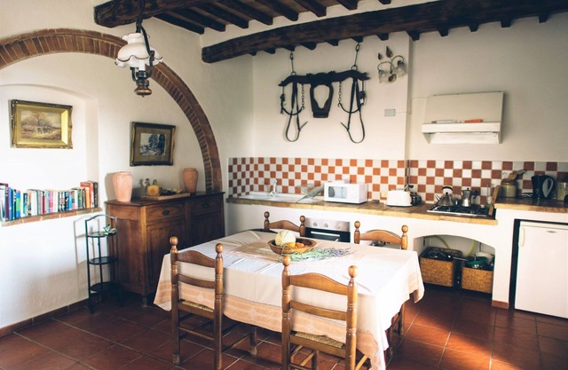 Beautiful apartment in Chianti on organic farm with pool and 360° sunset views
