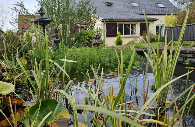 Beautiful, large relaxing holiday home set in beautiful rural Basse Normandy