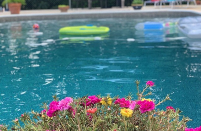 Beautiful mid-century ranch with POOL!